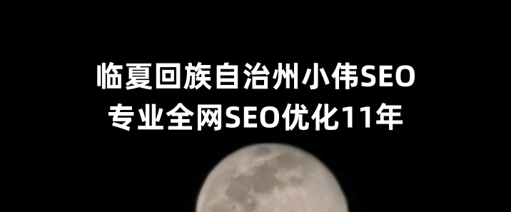 临夏回族自治州SEO优化公司小伟SEO