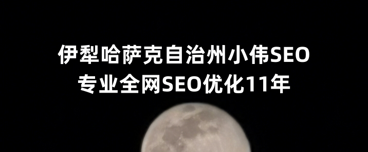 伊犁哈萨克自治州SEO优化公司小伟SEO