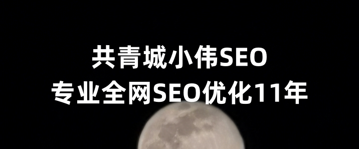 共青城SEO优化公司小伟SEO