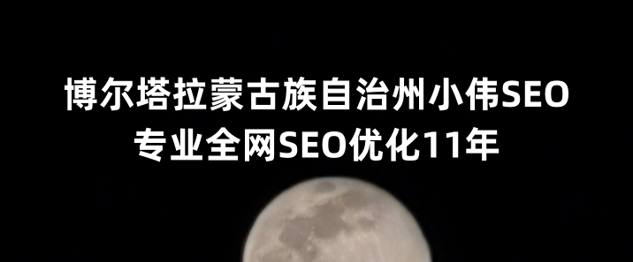 博尔塔拉蒙古自治州SEO优化公司小伟SEO