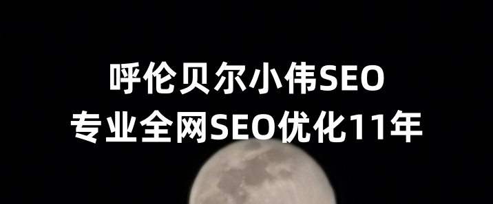 呼伦贝尔SEO优化公司小伟SEO