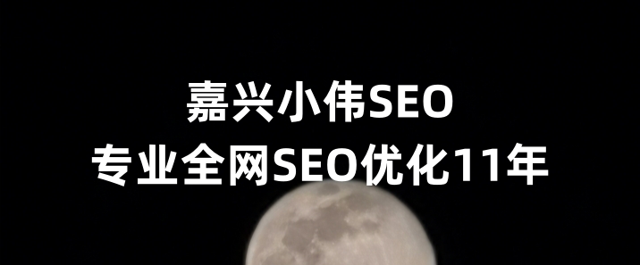 嘉兴SEO优化公司小伟SEO