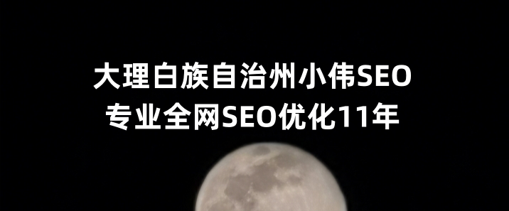 大理白族自治州SEO优化公司小伟SEO