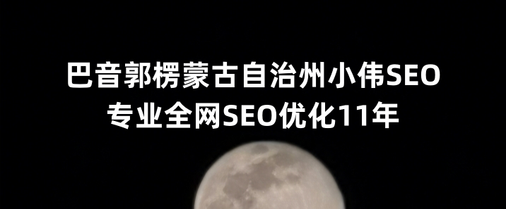 巴音郭楞蒙古自治州SEO优化公司小伟SEO