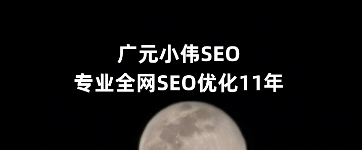 广元SEO优化公司小伟SEO