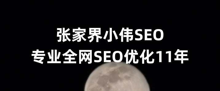 张家界SEO优化公司小伟SEO