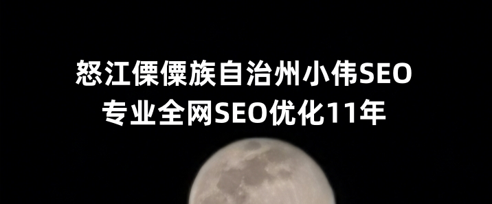 怒江傈僳族自治州SEO优化公司小伟SEO