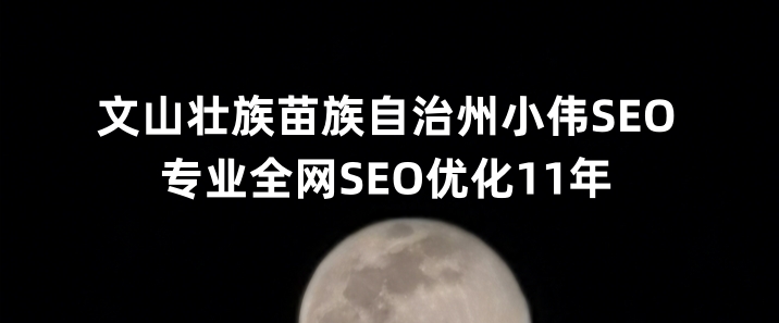 文山壮族苗族自治州SEO优化公司小伟SEO