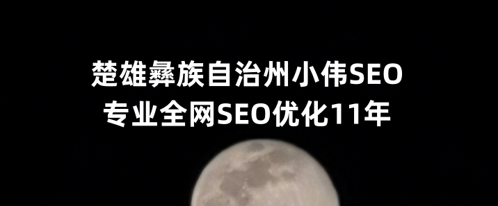 楚雄彝族自治州SEO优化公司小伟SEO