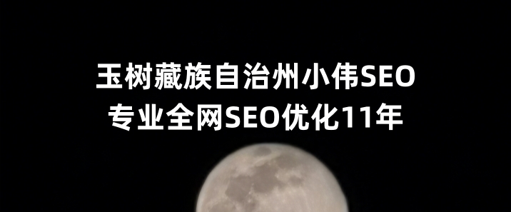 玉树藏族自治州SEO优化公司小伟SEO