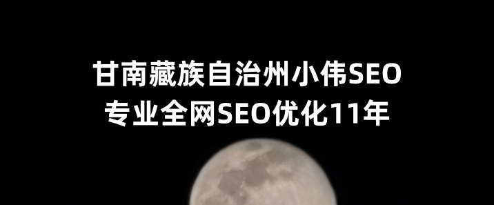 甘南藏族自治州SEO优化公司小伟SEO