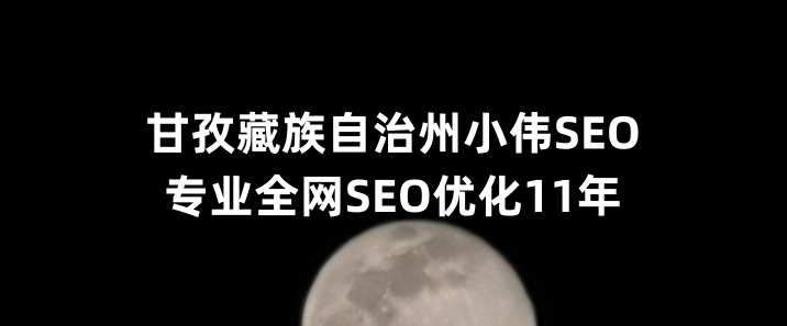 甘孜藏族自治州SEO优化公司小伟SEO