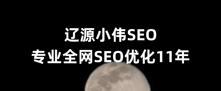 辽源SEO优化公司小伟SEO