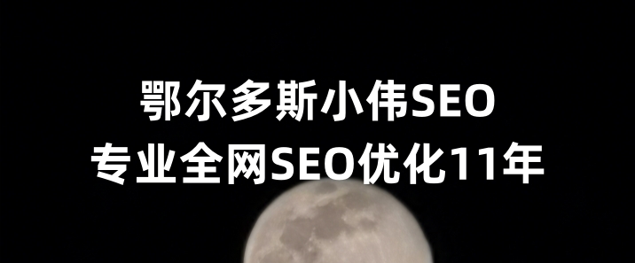 鄂尔多斯SEO优化公司小伟SEO