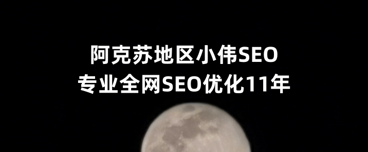 阿克苏地区SEO优化公司小伟SEO