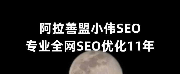 阿拉善盟SEO优化公司小伟SEO