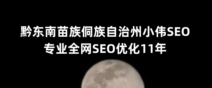 黔东南苗族侗族自治州SEO优化公司小伟SEO