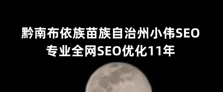 黔南布依族苗族自治州SEO优化公司小伟SEO