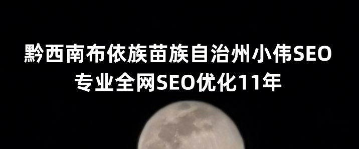 黔西南布依族苗族自治州SEO优化公司小伟SEO